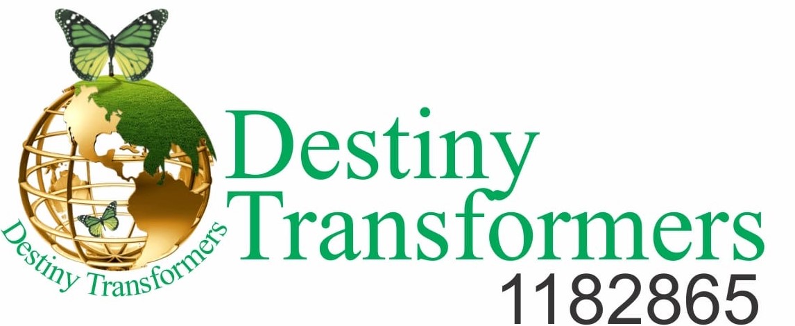 Destiny Transformers